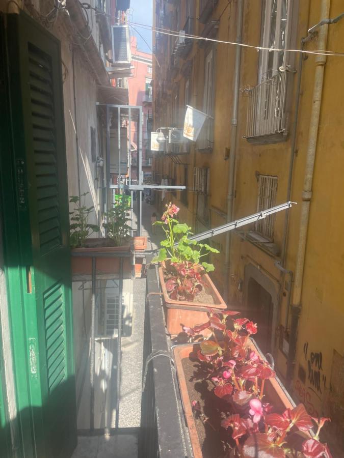 Le Di Ginevra Casa vacanze *